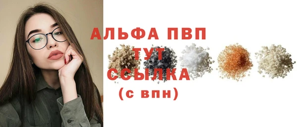 твердый Новодвинск