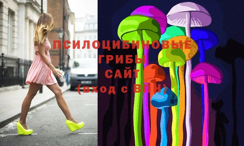 Псилоцибиновые грибы Psilocybine cubensis  mega ссылка  Райчихинск 