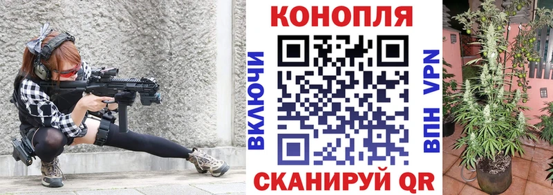 Конопля SATIVA & INDICA Райчихинск